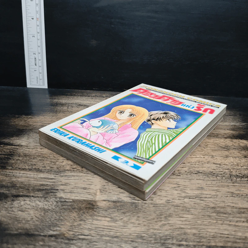 ดวงดาวแห่งรัก 2 เล่มจบ - Erika Kurahashi รูปที่ 4