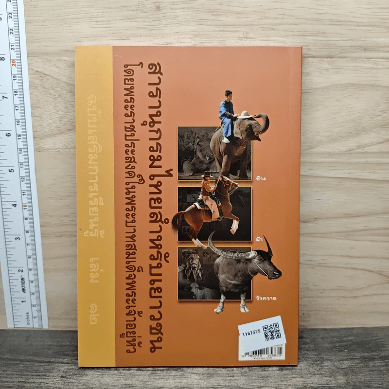สารานุกรมไทยสำหรับเยาวชน เล่ม 12 รูปที่ 5