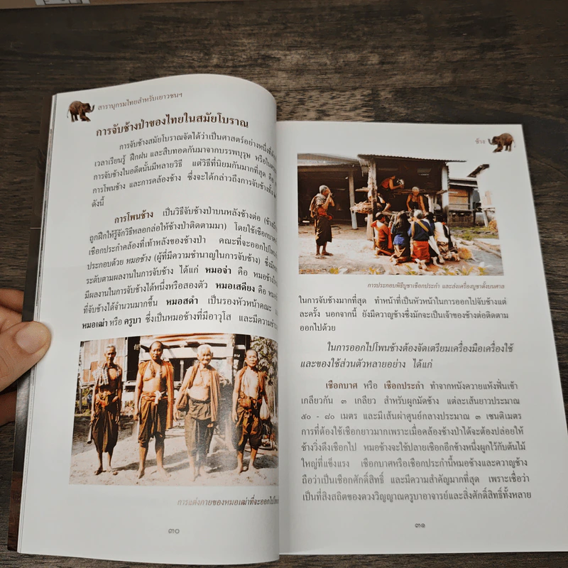 สารานุกรมไทยสำหรับเยาวชน เล่ม 12 รูปที่ 8