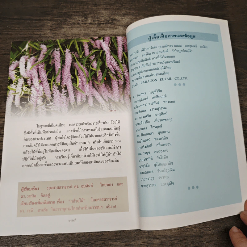 สารานุกรมไทยสำหรับเยาวชน ฉบับเสริมการเรียนรู้ เล่ม 13 รูปที่ 9
