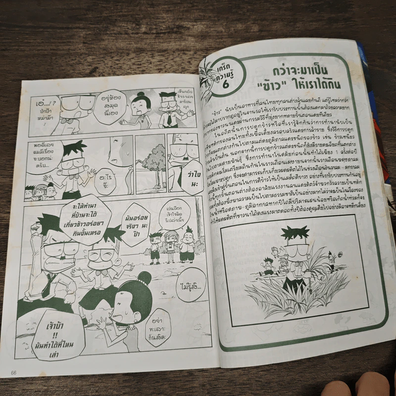 มหัศจรรย์ความรู้กับภูตห้องสมุด จินจินต์ ตอน ไดโนเสาร์แดนสยาม รูปที่ 7