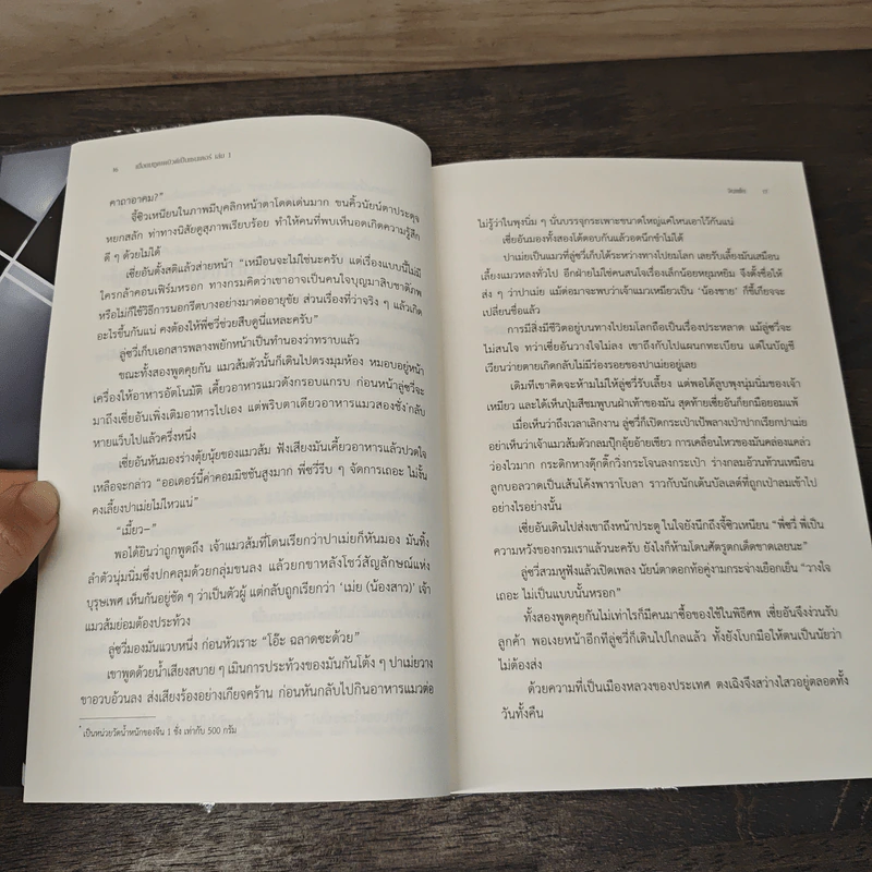 เมื่อยมทูตเดบิวต์เป็นเซนเตอร์ 4 เล่มจบ - จินเฝ่ย, CocoaCola รูปที่ 7