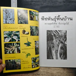 พืชพันธุ์พื้นบ้าน ความสุขชั่วชีวิตที่เราปลูกได้ - เดชา ศิริภัทร รูปที่ 6