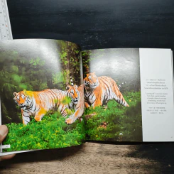 เส้นชัยแห่งความสุข (ภาษาไทย-อังกฤษ-จีน) - พระมหาวุฒิชัย วชิรเมธี รูปที่ 10