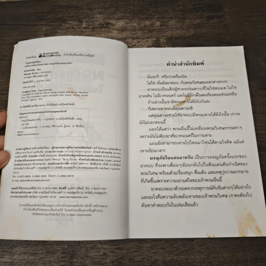 มหัศจรรย์พรมวิเศษ ตอน ผจญภัยในแดนอาหรับ - Knister รูปที่ 6