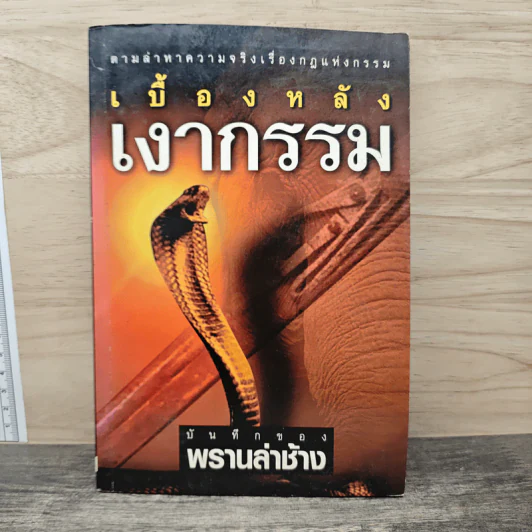 เบื้องหลังเงากรรม - นที ลานโพธิ์ รูปที่ 1