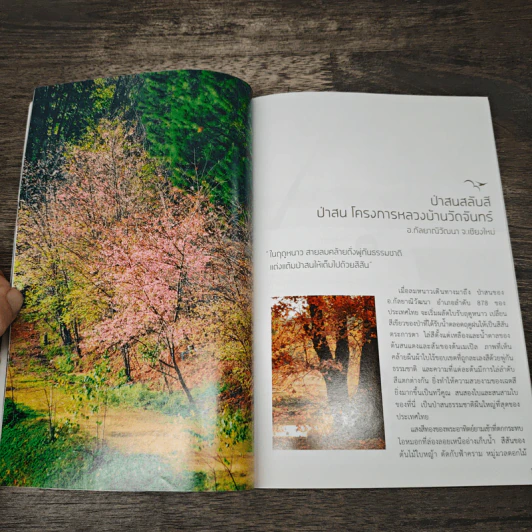 Dream Destinations กาลครั้งหนึ่ง...ต้องไป - การท่องเที่ยวแห่งประเทศไทย รูปที่ 7