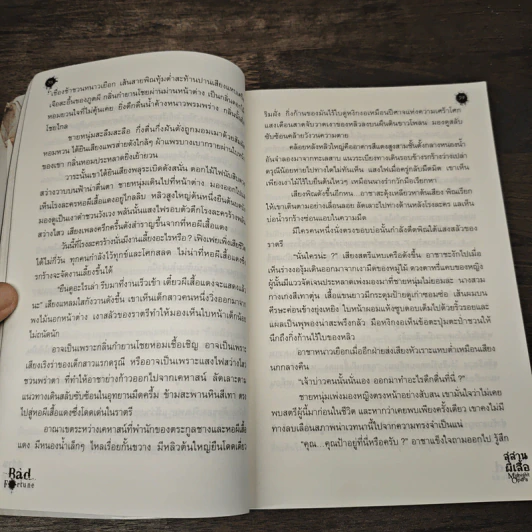 สุสานผีเสื้อ Midnight Opera - มายาโรส รูปที่ 7