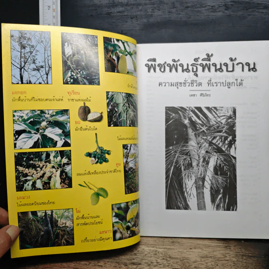 พืชพันธุ์พื้นบ้าน ความสุขชั่วชีวิตที่เราปลูกได้ - เดชา ศิริภัทร รูปที่ 6