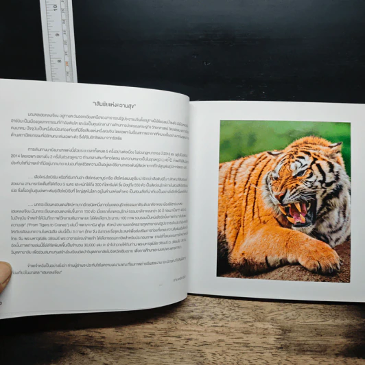 เส้นชัยแห่งความสุข (ภาษาไทย-อังกฤษ-จีน) - พระมหาวุฒิชัย วชิรเมธี รูปที่ 8
