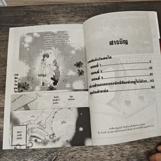 วาดฝันถึงวันสดใส 2 เล่มจบ รูปที่ 6