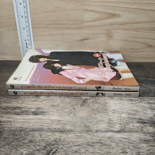 สาวสุดเฟี้ยวเกี่ยวหัวใจนายซูเปอร์สตาร์ 2 เเล่มจบ - Melon รูปที่ 3