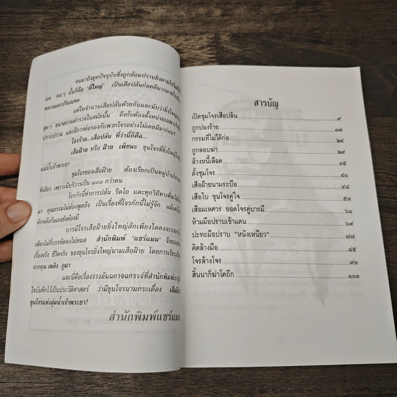 เสือฝ้าย - เพลิง ภูผา รูปที่ 7