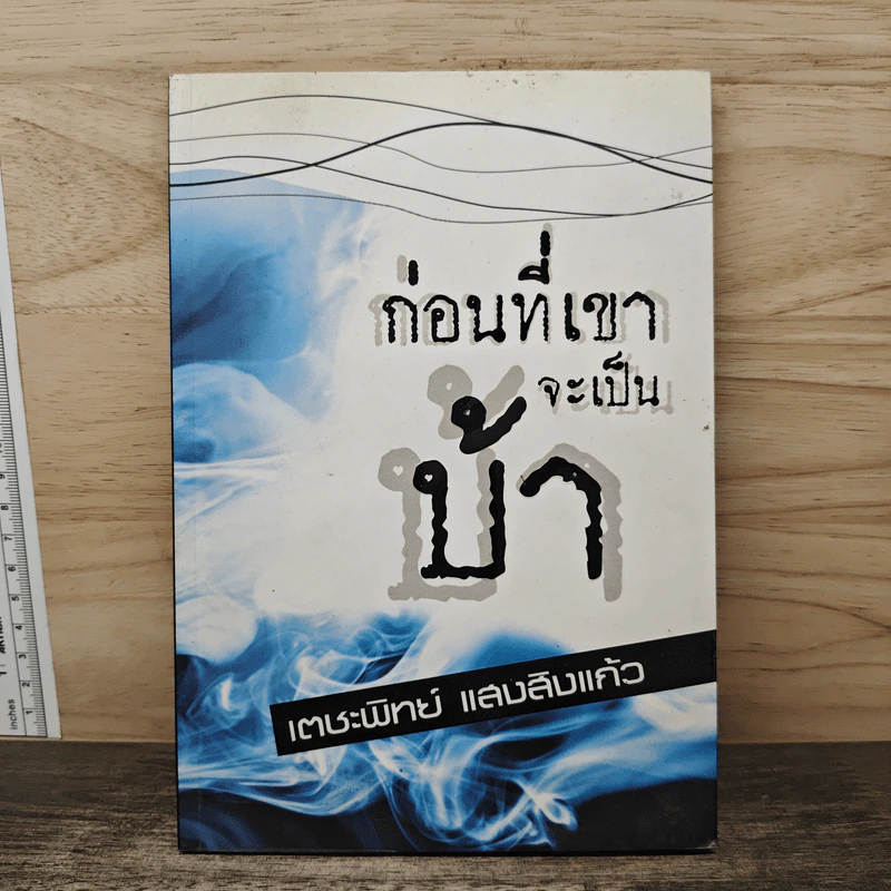 ก่อนที่เขาจะเป็นบ้า - เตชะพิทย์ แสงสิงแก้ว รูปที่ 1