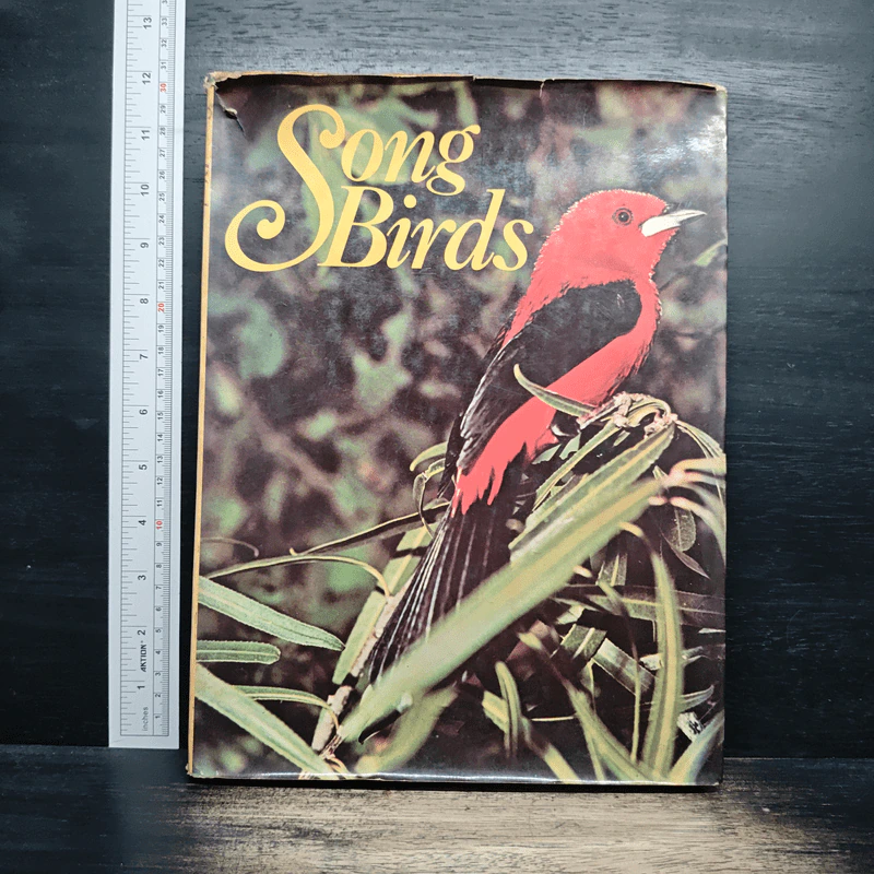 Song Birds - Crescent รูปที่ 1