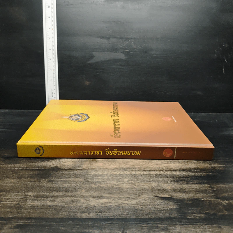 อัครมหาราชา ปิ่นฟ้าคมนาคม รูปที่ 6