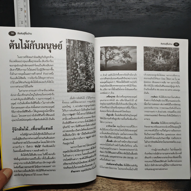 พืชพันธุ์พื้นบ้าน ความสุขชั่วชีวิตที่เราปลูกได้ - เดชา ศิริภัทร รูปที่ 9