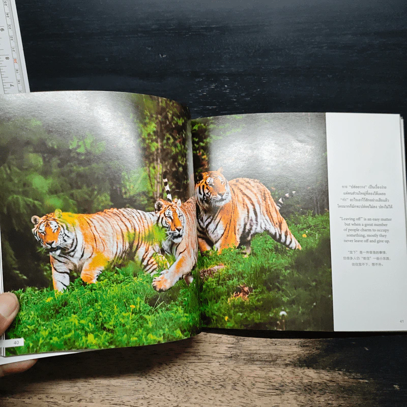 เส้นชัยแห่งความสุข (ภาษาไทย-อังกฤษ-จีน) - พระมหาวุฒิชัย วชิรเมธี รูปที่ 10