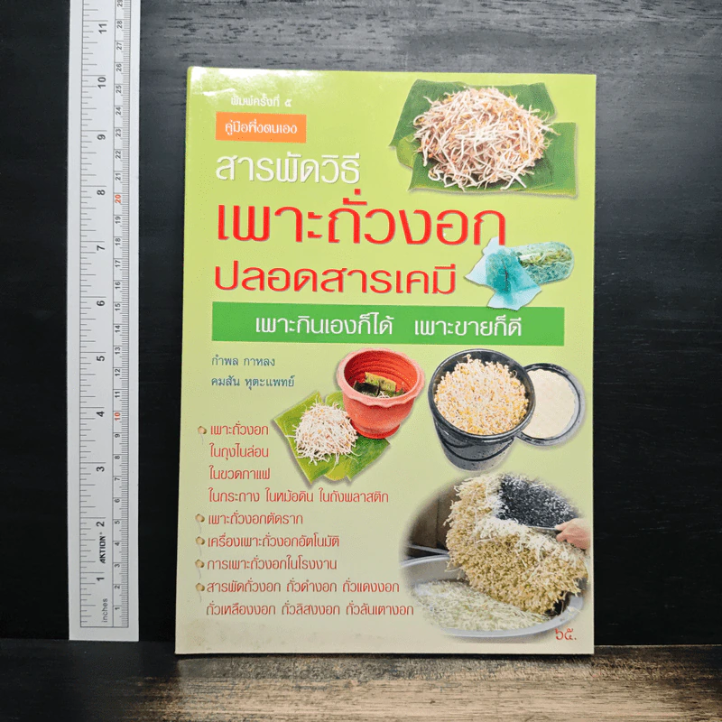 สารพัดวิธีเพาะถั่วงอกปลอดสารเคมี เพาะกินเองก็ได้ เพาะขายก็ดี - กำพล กาหลง รูปที่ 1
