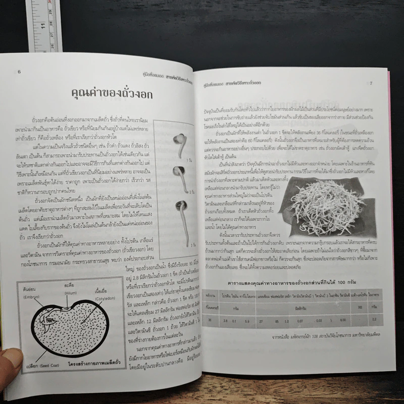 สารพัดวิธีเพาะถั่วงอกปลอดสารเคมี เพาะกินเองก็ได้ เพาะขายก็ดี - กำพล กาหลง รูปที่ 7
