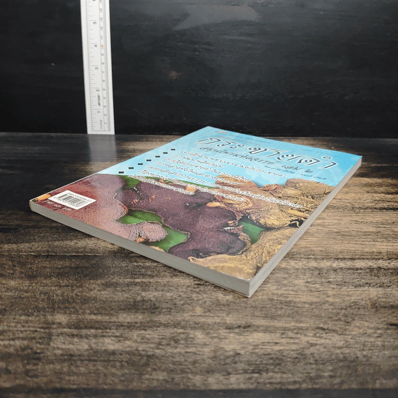 กระชายดำ สมุนไพรมหัศจรรย์ เล่ม 2 รูปที่ 4