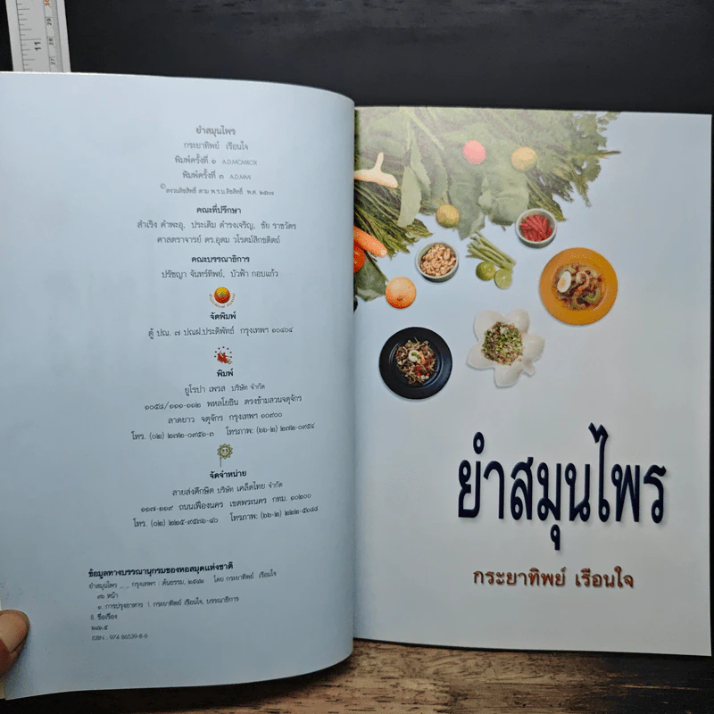 ยำสมุนไพร - กระยาทิพย์ เรือนใจ รูปที่ 6