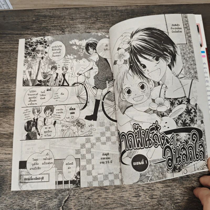 วาดฝันถึงวันสดใส 2 เล่มจบ รูปที่ 7