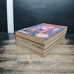 สิงหไกรภพ เล่ม 1-4 รูปที่ 3