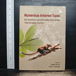Mysterious Arboreal Tupai; - Hideki Endo, Junzo Yamada