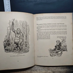 The Making of Man - Cornwall, Howard รูปที่ 9