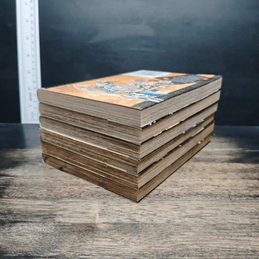 คุณชายซามูไร ผจญภัยสุดขอบโลก เล่ม 1-6 รูปที่ 2