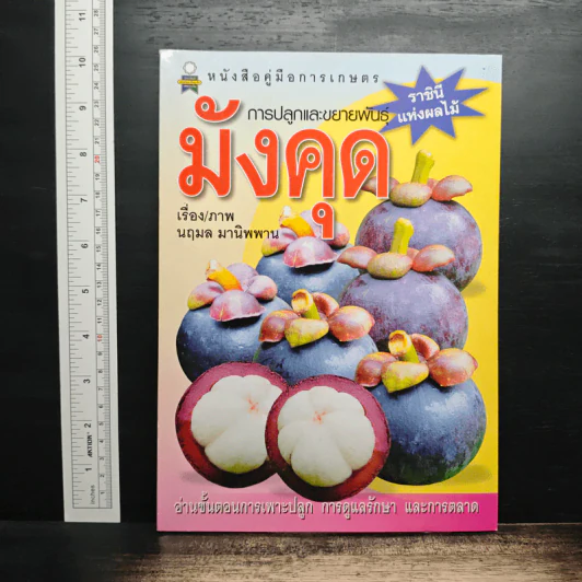 การปลูกและการขยายพันธุ์ มังคุด ราชินีแห่งผลไม้ รูปที่ 1