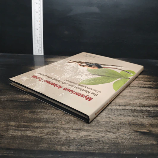 Mysterious Arboreal Tupai; - Hideki Endo, Junzo Yamada รูปที่ 5