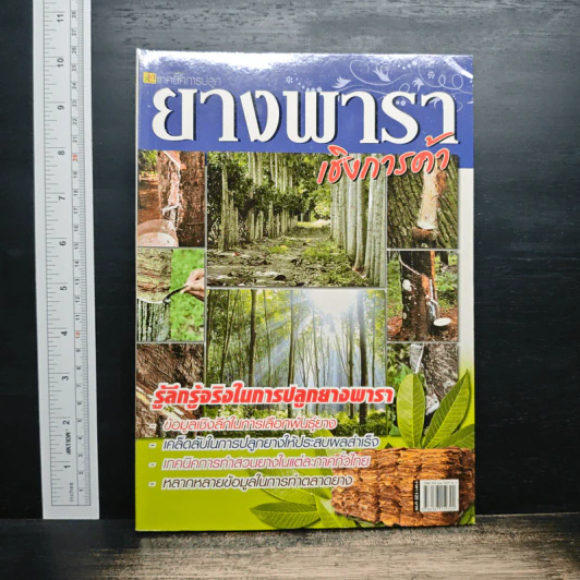 ยางพาราเชิงการค้า รูปที่ 1