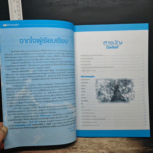 ไม้ป่าเศรษฐกิจ รูปที่ 7