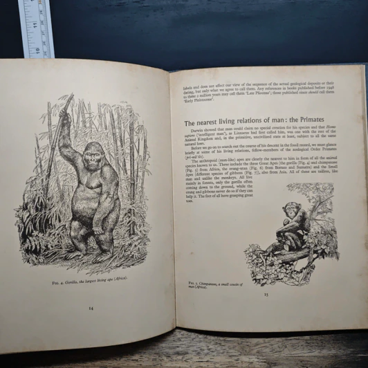 The Making of Man - Cornwall, Howard รูปที่ 9