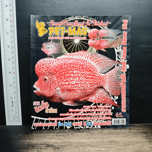 Pet-Mag นิตยสารสัตว์เลี้ยง ปีที่ 9 ฉบับที่ 106 เม.ย.2551 รูปที่ 1