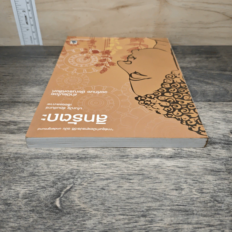 สิทธัตถะ การ์ตูนทำมือพุทธประวัติ ฉบับ underground - มโนณัฐ รัตนจันทร์ รูปที่ 4