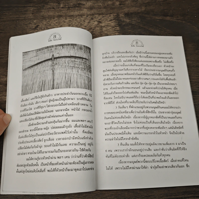 สายพันธุ์ข่าว้าแดง - สังคีต จันทนะโพธิ์ รูปที่ 8