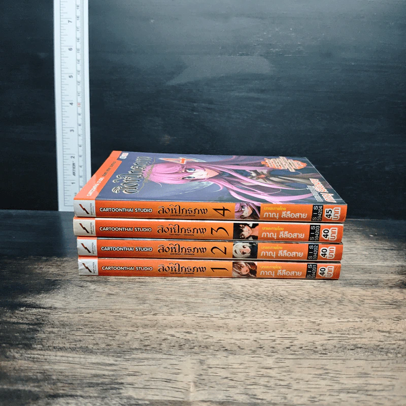สิงหไกรภพ เล่ม 1-4 รูปที่ 2