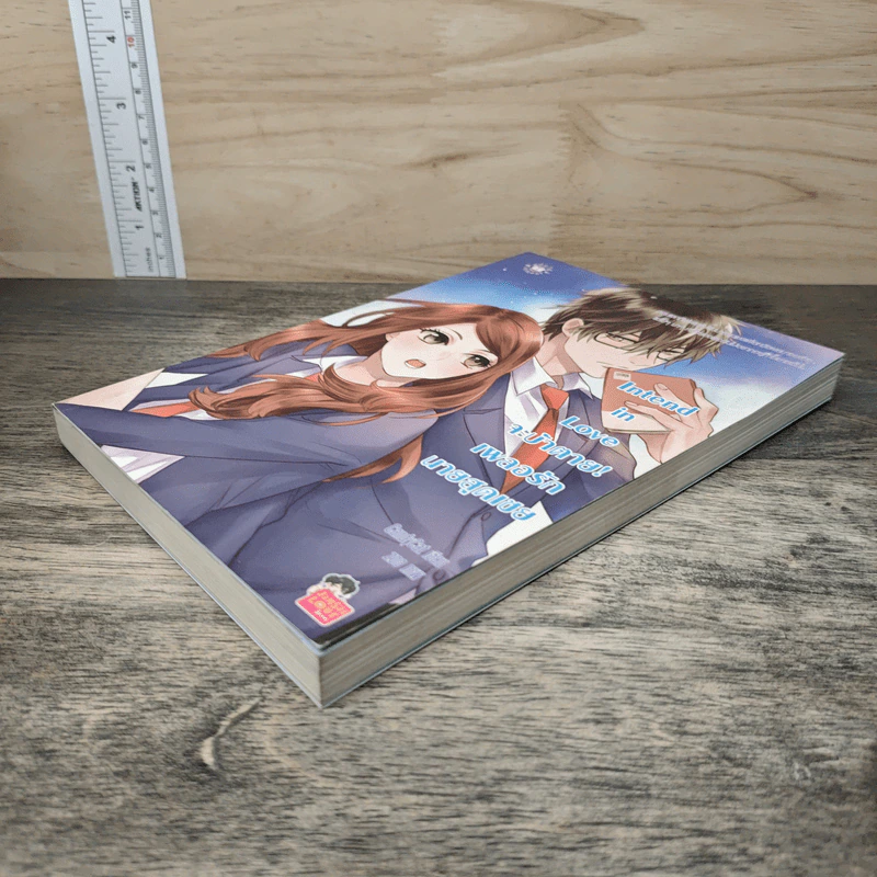 Intend in Love จะบ้าตาย! เผลอรักนายสุดเชย - CandyCat รูปที่ 3