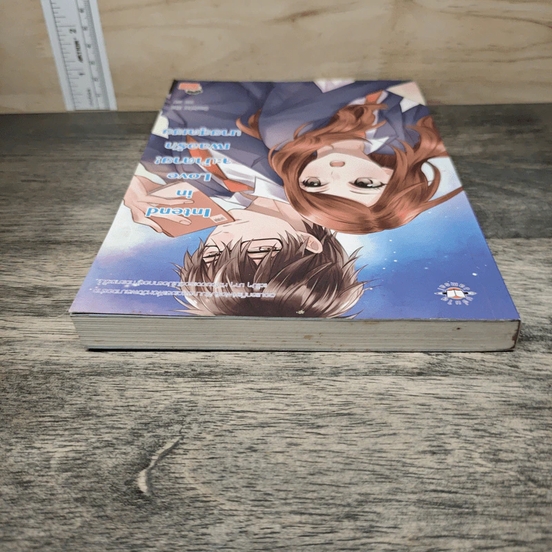 Intend in Love จะบ้าตาย! เผลอรักนายสุดเชย - CandyCat รูปที่ 4