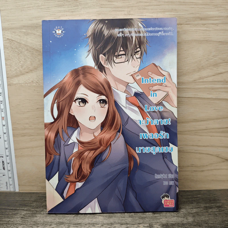 Intend in Love จะบ้าตาย! เผลอรักนายสุดเชย - CandyCat รูปที่ 1