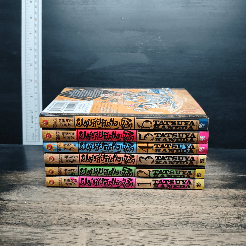 คุณชายซามูไร ผจญภัยสุดขอบโลก เล่ม 1-6 รูปที่ 9