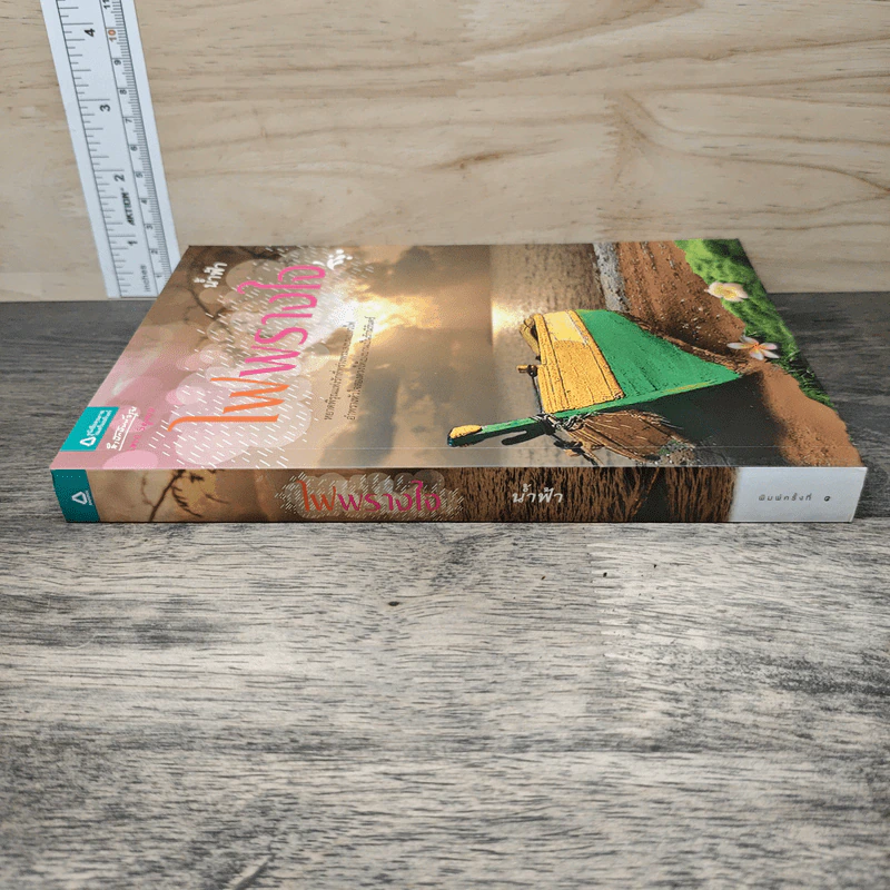 ไฟพรางใจ - น้ำฟ้า รูปที่ 2