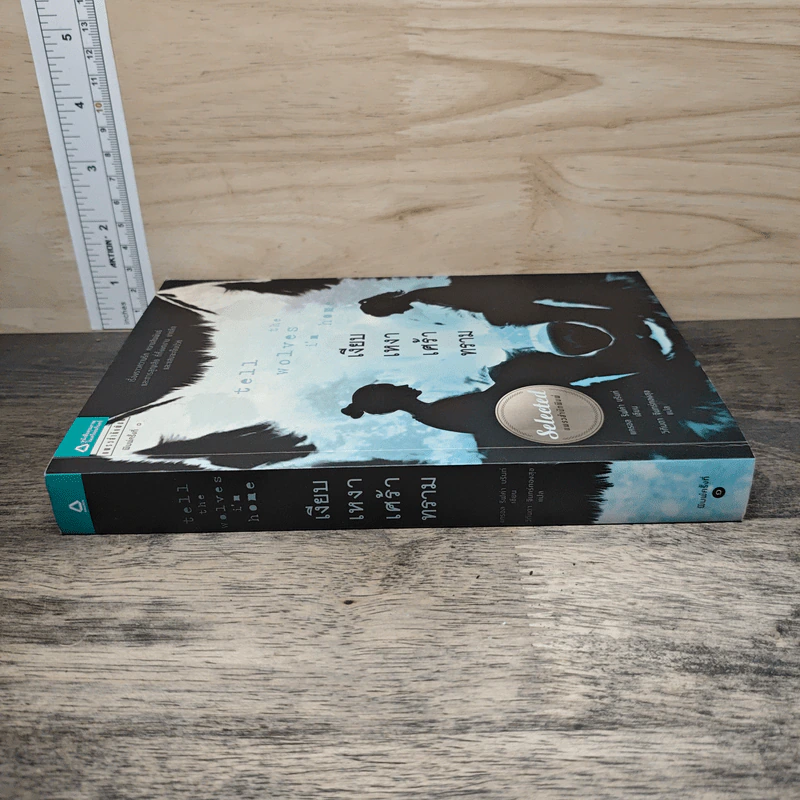 เงียบเหงาเศร้าทราม Tell the Wolves I'm Home - แครอล ริฟค่า บรันท์ รูปที่ 2