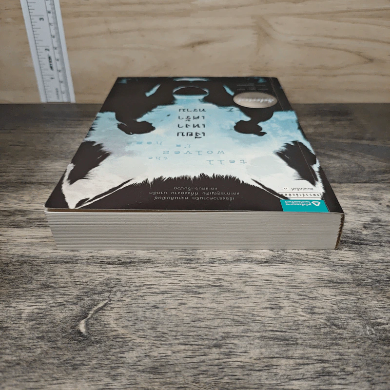 เงียบเหงาเศร้าทราม Tell the Wolves I'm Home - แครอล ริฟค่า บรันท์ รูปที่ 4
