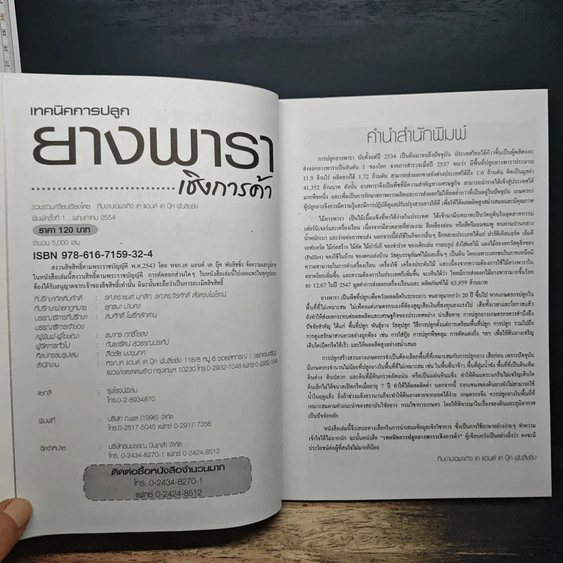 ยางพาราเชิงการค้า รูปที่ 6