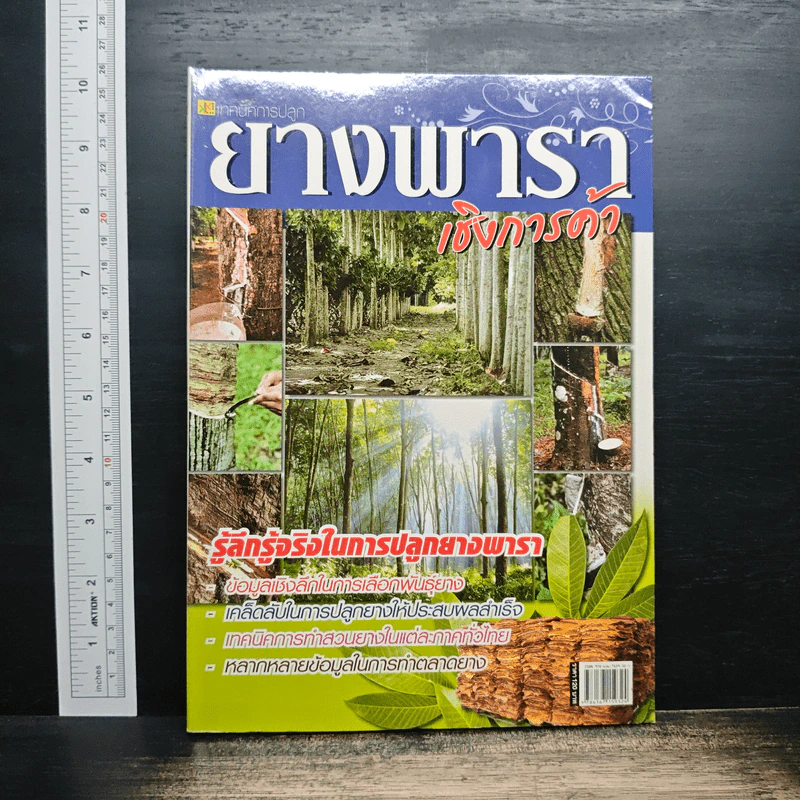 ยางพาราเชิงการค้า รูปที่ 1