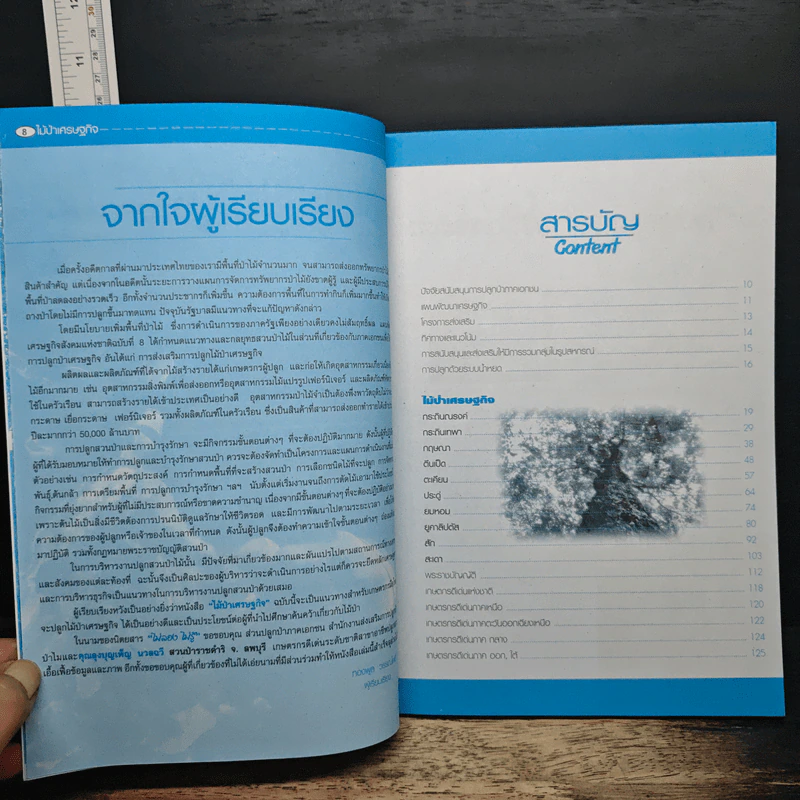 ไม้ป่าเศรษฐกิจ รูปที่ 7